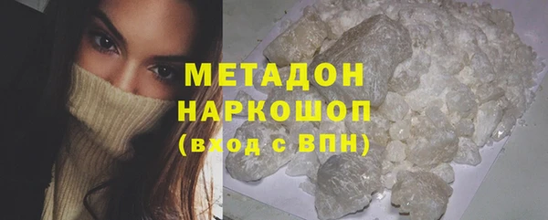 прущие грибы Медногорск