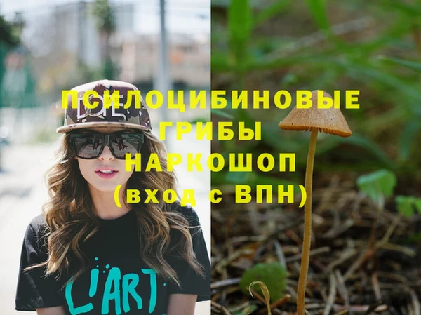 молекула духа Медвежьегорск