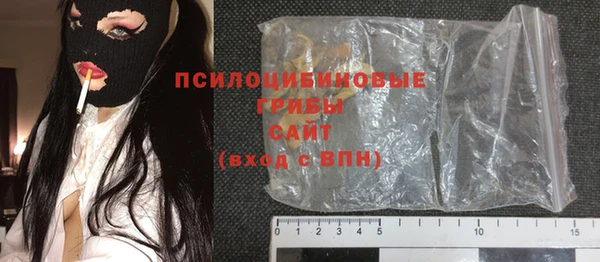 молекула духа Медвежьегорск