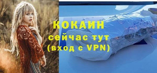 прущие грибы Медногорск