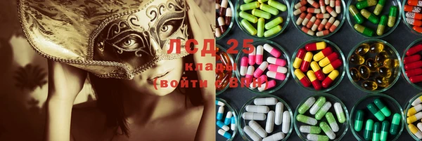 твердый Майский