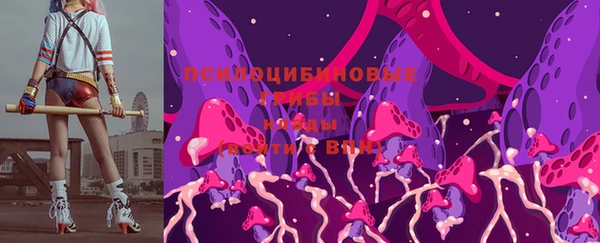 твердый Майский