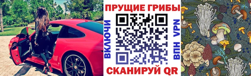 Псилоцибиновые грибы Cubensis  цены   Берёзовский 